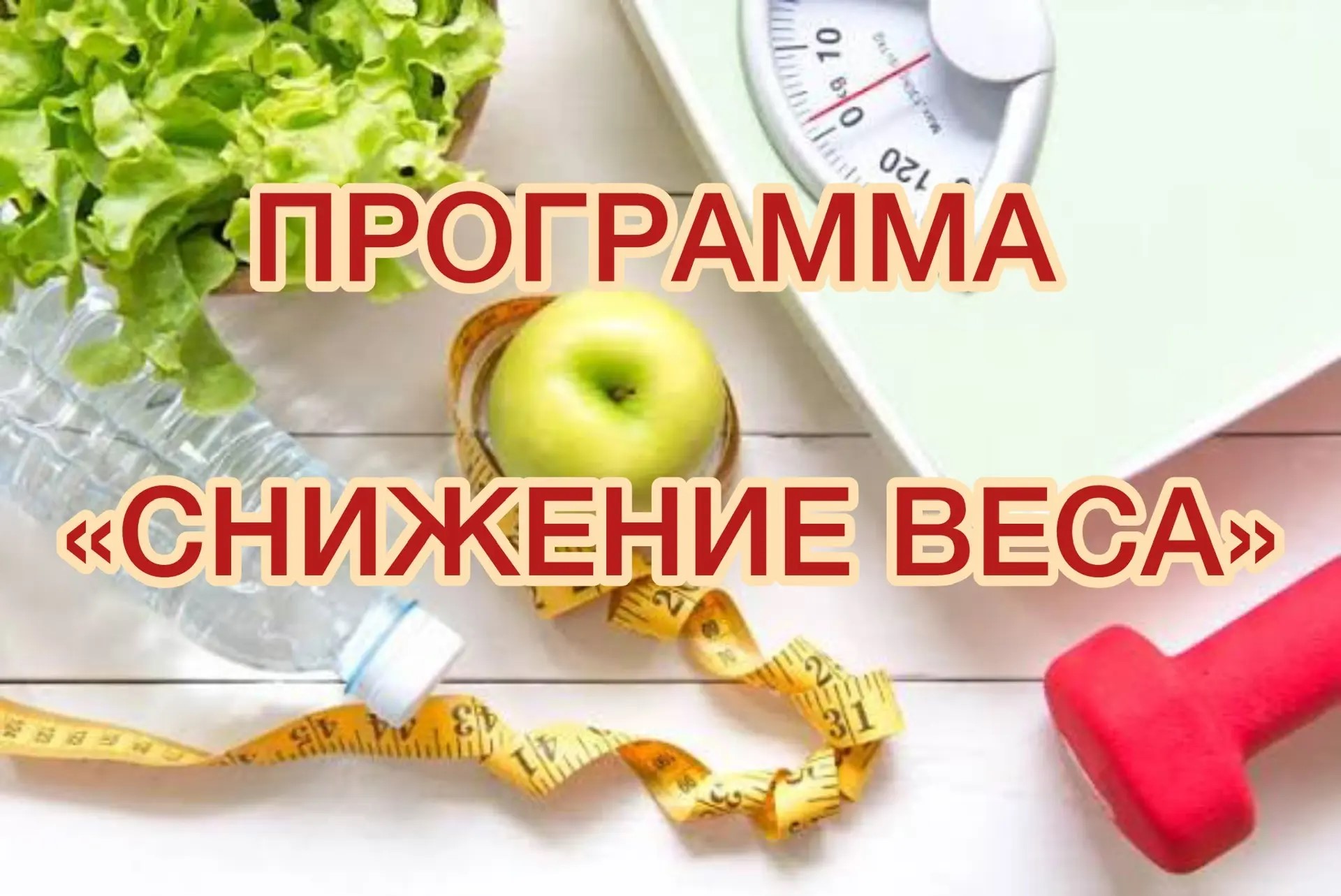 ПРОГРАММА СНИЖЕНИЕ ВЕСА
